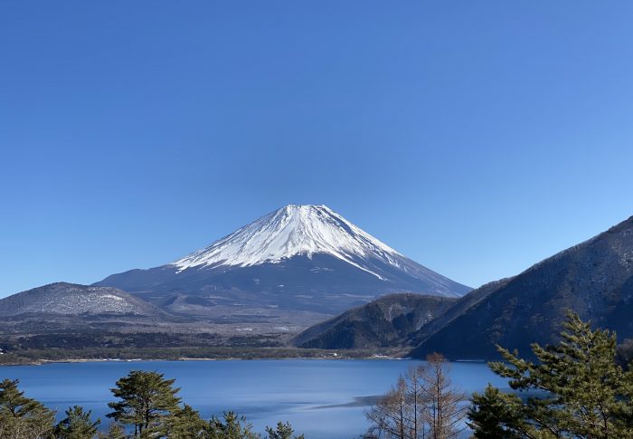 洪庵キャンプ場で千円札をかざしてきた。