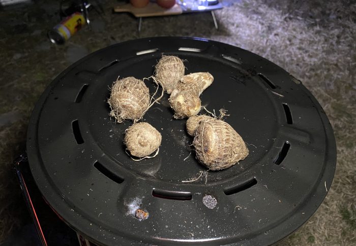 石油ストーブの天板で里いもを焼く。