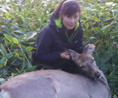 女性猟師に学ぶ！　鹿の解体体験(鹿肉のお土産付き) 2022年12月